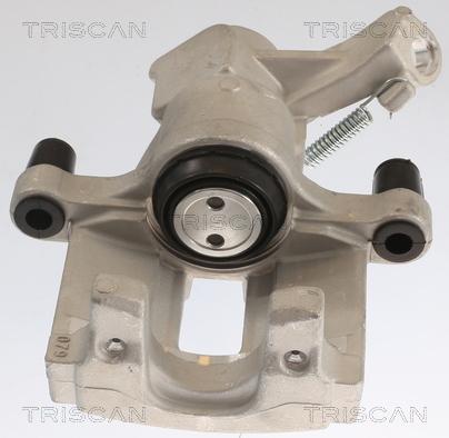 Triscan 8175 10207 - Pinza freno autozon.pro