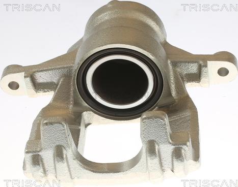 Triscan 8175 10219 - Pinza freno autozon.pro