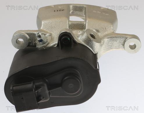 Triscan 8175 10216 - Pinza freno autozon.pro