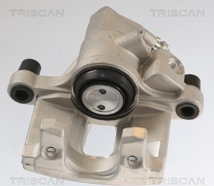 Triscan 8175 10211 - Pinza freno autozon.pro