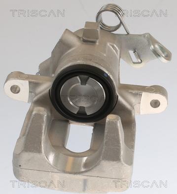 Triscan 8175 10218 - Pinza freno autozon.pro