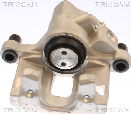 Triscan 8175 10239 - Pinza freno autozon.pro