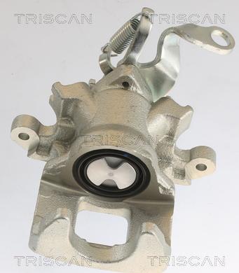 Triscan 8175 10236 - Pinza freno autozon.pro