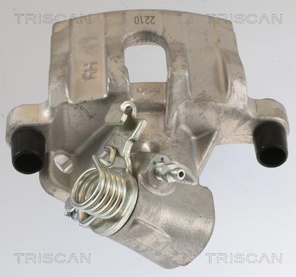 Triscan 8175 10230 - Pinza freno autozon.pro