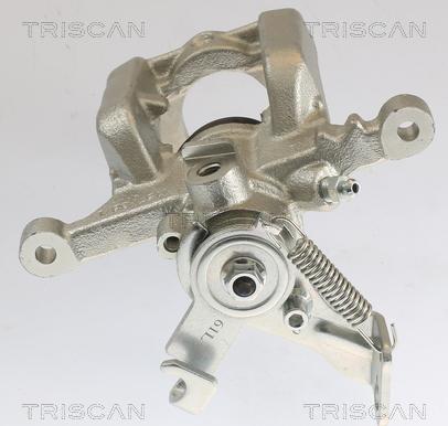 Triscan 8175 10231 - Pinza freno autozon.pro