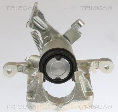 Triscan 8175 10232 - Pinza freno autozon.pro