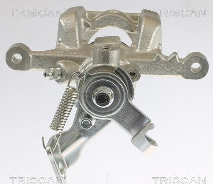 Triscan 8175 10232 - Pinza freno autozon.pro