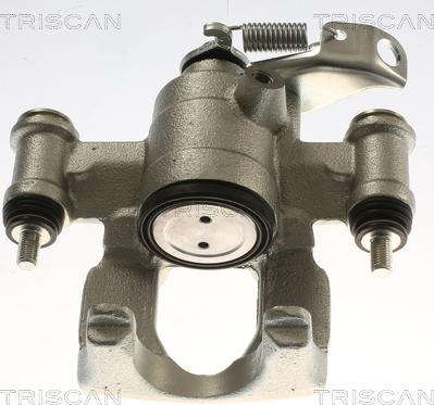 Triscan 8175 10237 - Pinza freno autozon.pro