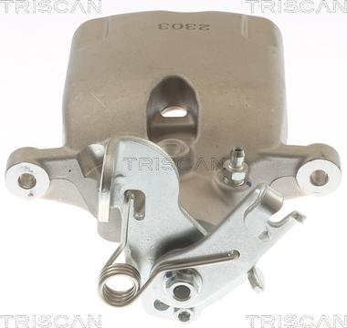 Triscan 8175 10225 - Pinza freno autozon.pro