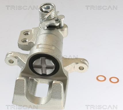 Triscan 8175 10228 - Pinza freno autozon.pro