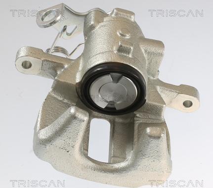 Triscan 8175 10223 - Pinza freno autozon.pro