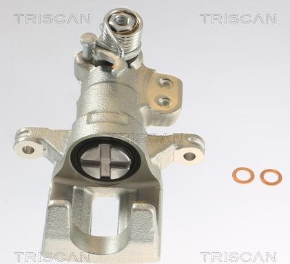 Triscan 8175 10227 - Pinza freno autozon.pro