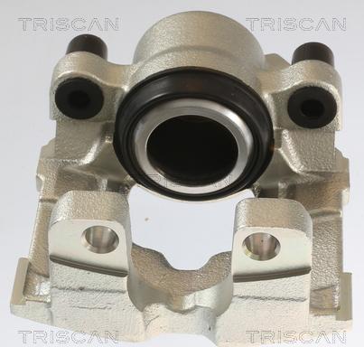 Triscan 8175 11105 - Pinza freno autozon.pro