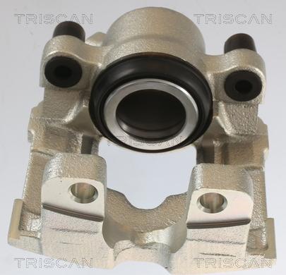 Triscan 8175 11106 - Pinza freno autozon.pro