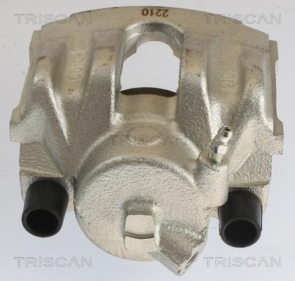 Triscan 8175 11101 - Pinza freno autozon.pro