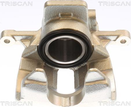 Triscan 8175 11112 - Pinza freno autozon.pro