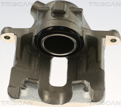 Triscan 8175 11134 - Pinza freno autozon.pro