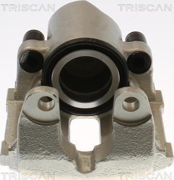 Triscan 8175 11137 - Pinza freno autozon.pro