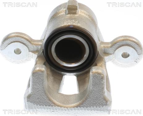 Triscan 8175 11232 - Pinza freno autozon.pro