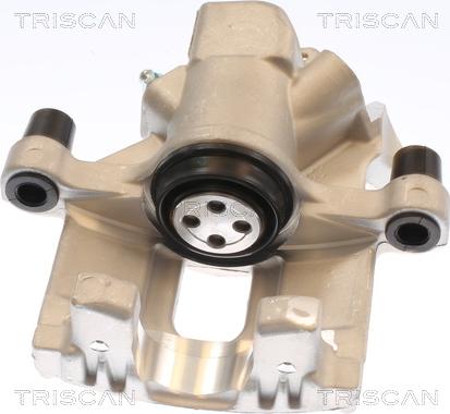 Triscan 8175 11228 - Pinza freno autozon.pro