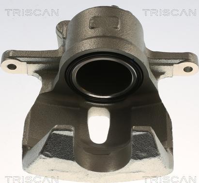 Triscan 8175 13137 - Pinza freno autozon.pro