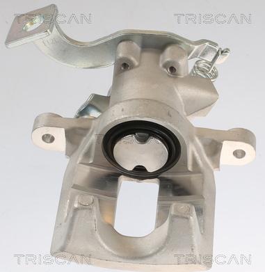 Triscan 8175 13211 - Pinza freno autozon.pro