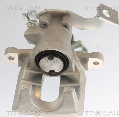 Triscan 8175 13212 - Pinza freno autozon.pro