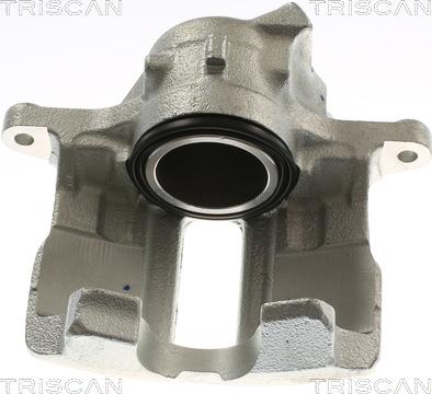 Triscan 8175 29149 - Pinza freno autozon.pro