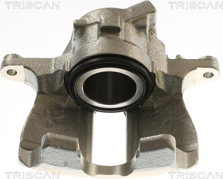 Triscan 8175 29155 - Pinza freno autozon.pro