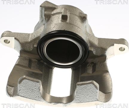 Triscan 8175 29153 - Pinza freno autozon.pro