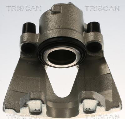 Triscan 8175 29152 - Pinza freno autozon.pro