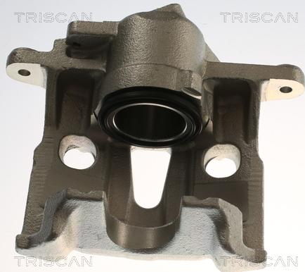 Triscan 8175 29161 - Pinza freno autozon.pro