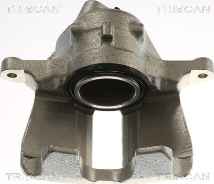 Triscan 8175 29163 - Pinza freno autozon.pro