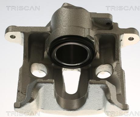 Triscan 8175 29162 - Pinza freno autozon.pro