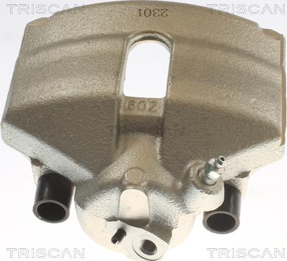 Triscan 8175 29102 - Pinza freno autozon.pro