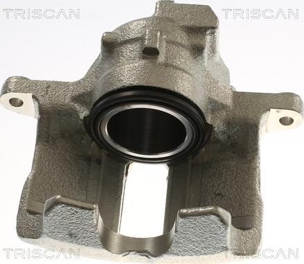 Triscan 8175 29117 - Pinza freno autozon.pro