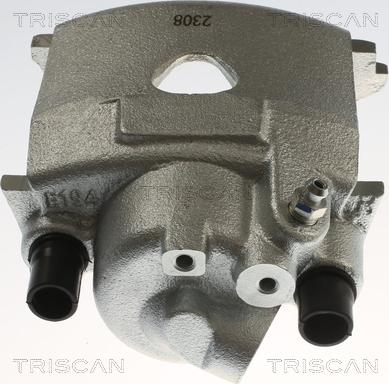 Triscan 8175 29130 - Pinza freno autozon.pro