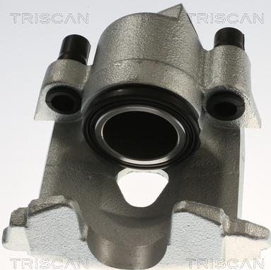 Triscan 8175 29130 - Pinza freno autozon.pro