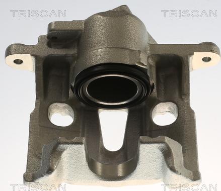 Triscan 8175 29175 - Pinza freno autozon.pro