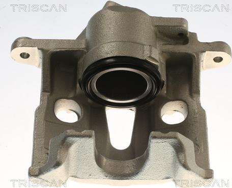 Triscan 8175 29176 - Pinza freno autozon.pro