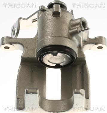 Triscan 8175 29245 - Pinza freno autozon.pro