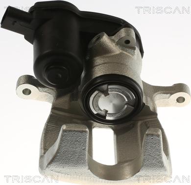 Triscan 8175 29251 - Pinza freno autozon.pro