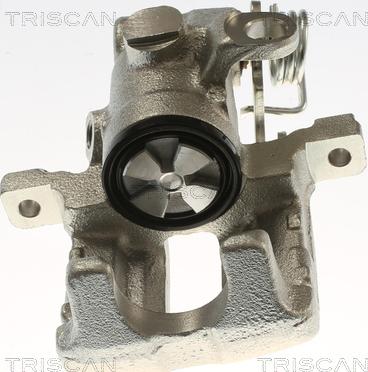 Triscan 8175 29269 - Pinza freno autozon.pro