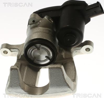 Triscan 8175 29260 - Pinza freno autozon.pro