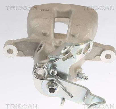 Triscan 8175 29206 - Pinza freno autozon.pro