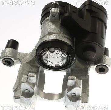 Triscan 8175 292010 - Pinza freno autozon.pro