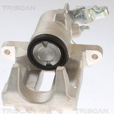 Triscan 8175 29202 - Pinza freno autozon.pro