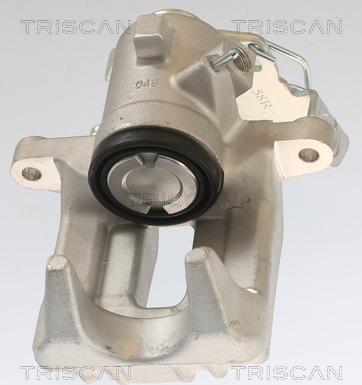 Triscan 8175 29216 - Pinza freno autozon.pro