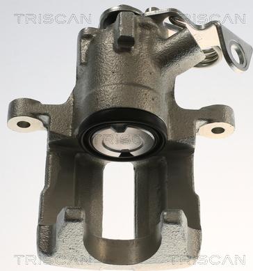 Triscan 8175 29283 - Pinza freno autozon.pro