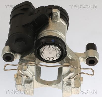 Triscan 8175 29239 - Pinza freno autozon.pro